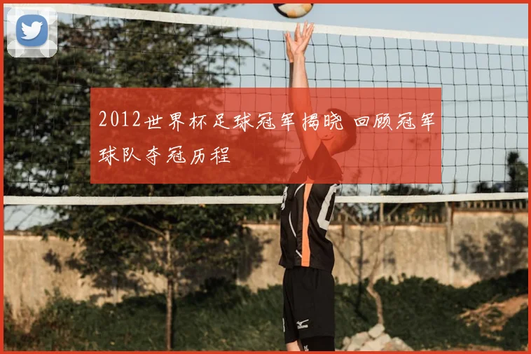 2012世界杯足球冠军揭晓 回顾冠军球队夺冠历程