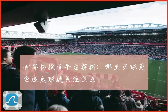 世界杯投注平台解析：哪里买球更合适成球迷关注焦点