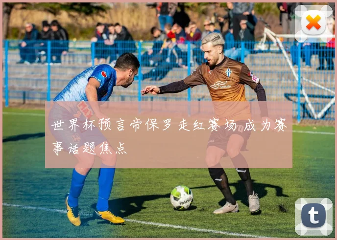 世界杯预言帝保罗走红赛场 成为赛事话题焦点