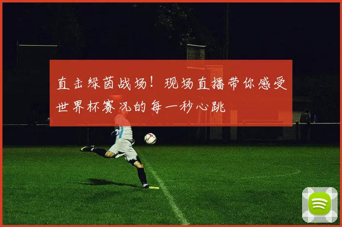 直击绿茵战场!现场直播带你感受世界杯赛况的每一秒心跳