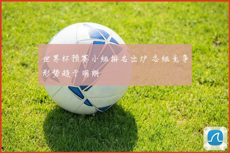 世界杯预赛小组排名出炉 各组竞争形势趋于明朗