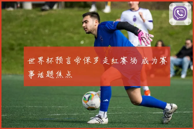 世界杯预言帝保罗走红赛场 成为赛事话题焦点