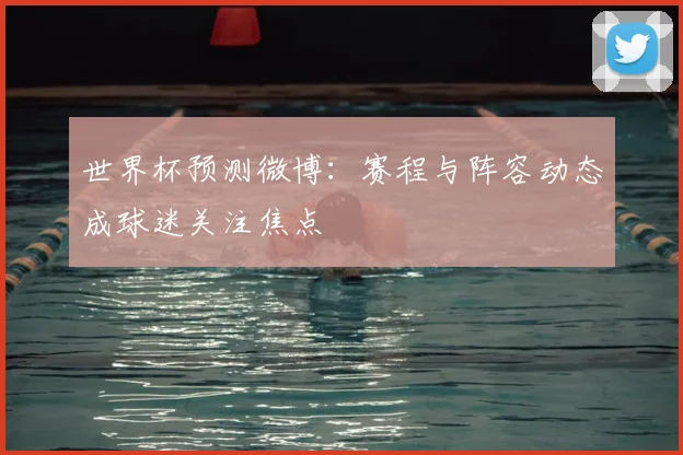 世界杯预测微博：赛程与阵容动态成球迷关注焦点