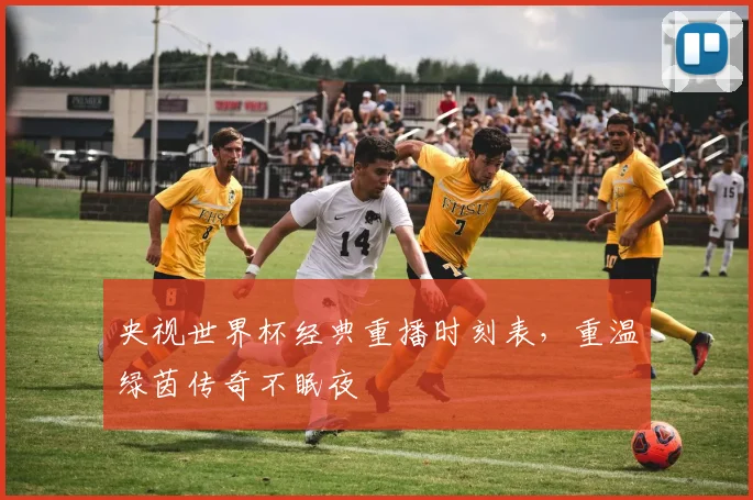 央视世界杯经典重播时刻表，重温绿茵传奇不眠夜
