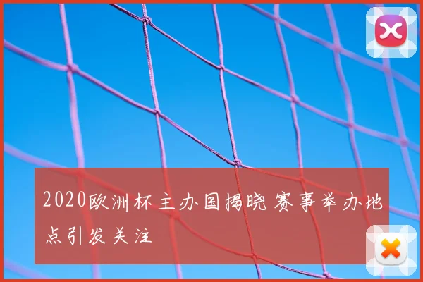 2020欧洲杯主办国揭晓 赛事举办地点引发关注