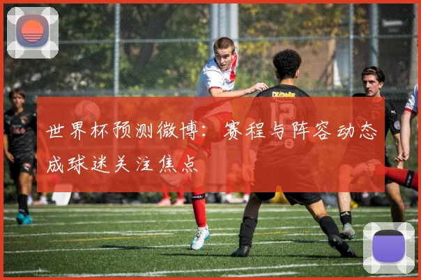 世界杯预测微博：赛程与阵容动态成球迷关注焦点