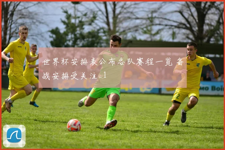 世界杯安排表公布各队赛程一览 备战安排受关注_1
