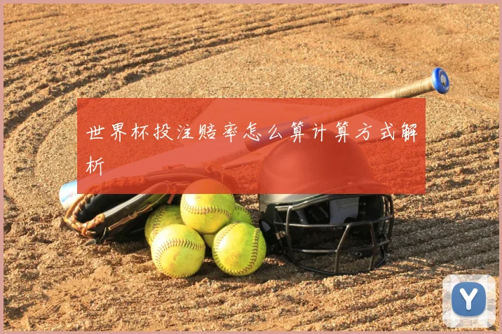 世界杯投注赔率怎么算计算方式解析